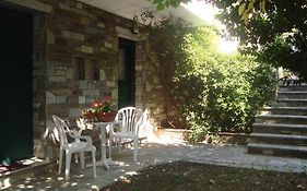 Ileana's house